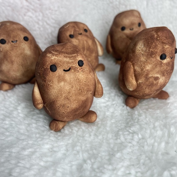 Pet potato - Picture 4 of 6